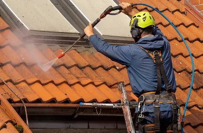 Démoussage et hydrofuge de toiture à Izé